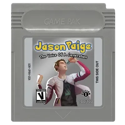 Mystery Pak grey Jason Paige video game cartridge